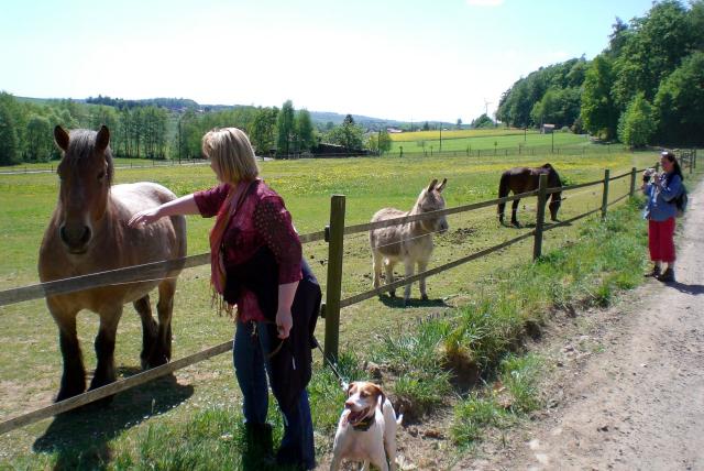 Heike streichelt das Pferd