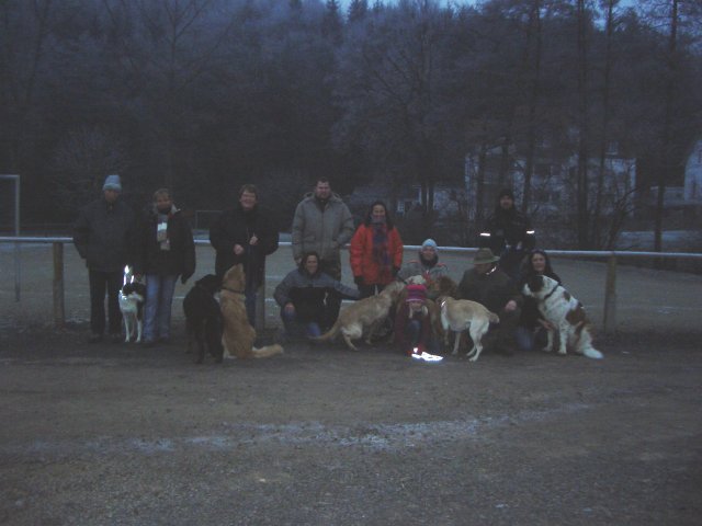 Es war ein schöner Spaziergang mit den Hunden: Jessie, Mandy, Assia, Marla, Charly, Amira, Jule, Lara und Amber