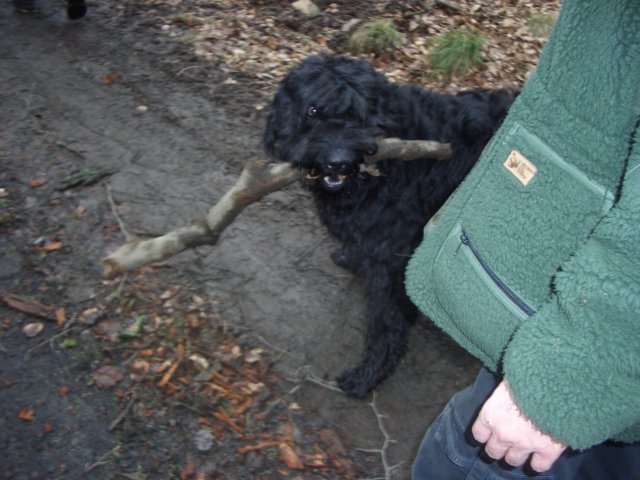 Carlo mit einem "kleinen" Stock