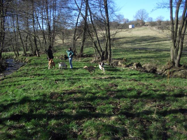 Wasser, Wiese.....toben, tollen.....einfach herrlich!!