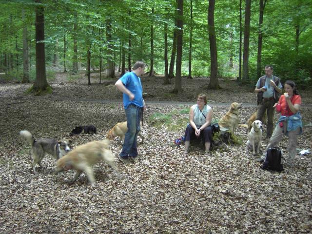 Entspannung für Hund und Mensch ;-)