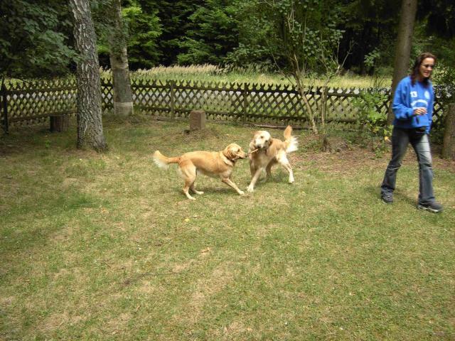 Amber und Charly