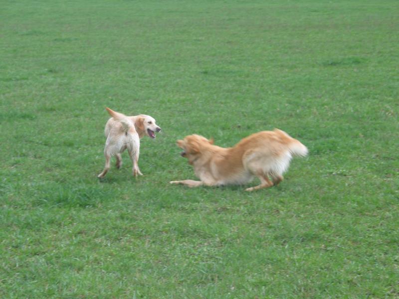 Lara und Mandy